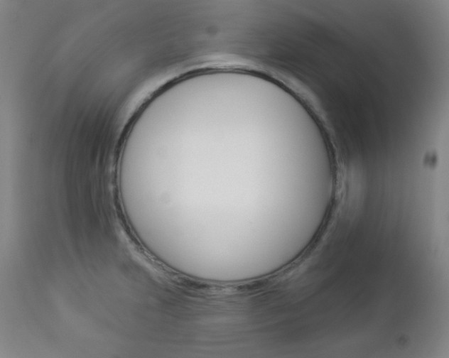 X0000112961231200908270912
