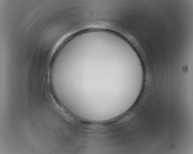 X0000112961232200908270912