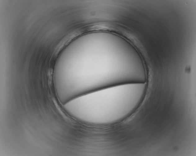 X0000112961233200908270912