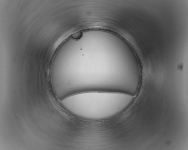X0000112961234200908270912