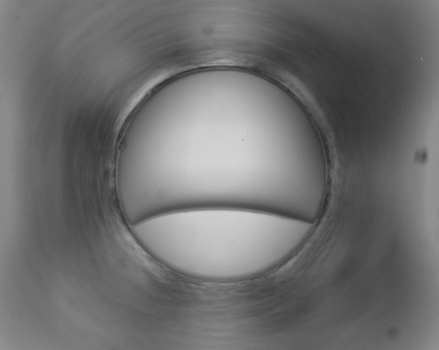 X0000112961236200908270912