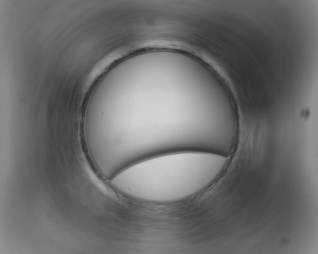 X0000112961237200908270912