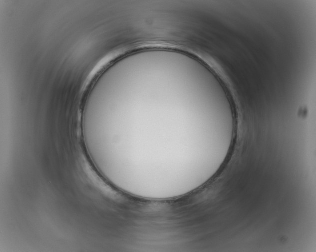 X0000112961238200908270912