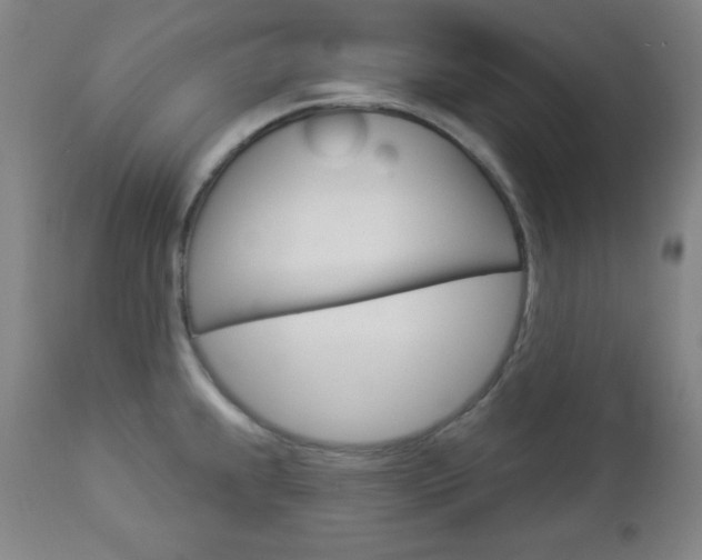 X0000112961239200908270912