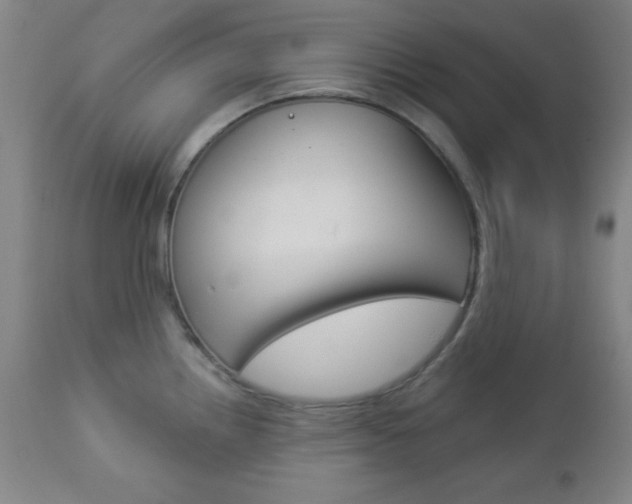 X0000112961242200908270912