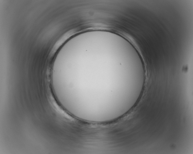 X0000112961243200908270912