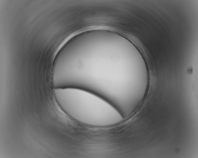 X0000112961244200908270912