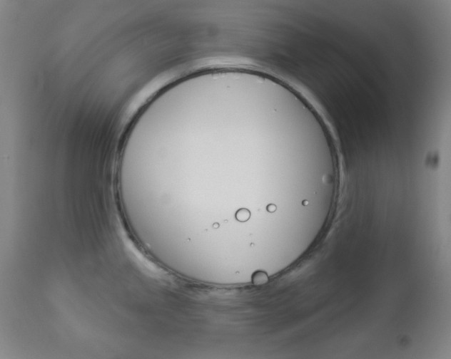 X0000112961245200908270912