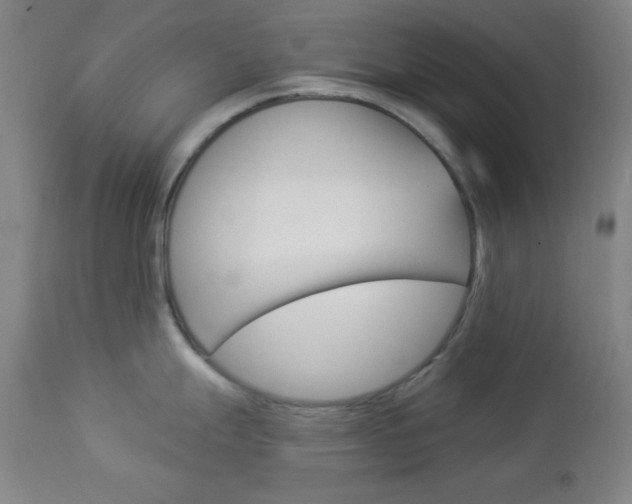X0000112961247200908270912