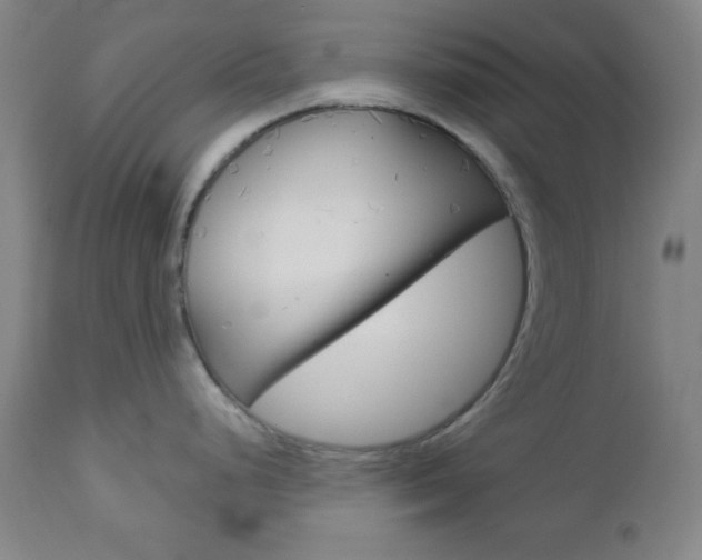 X0000112961248200908270912