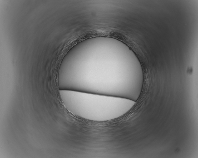 X0000112961249200908270911