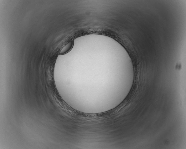 X0000112961250200908270911