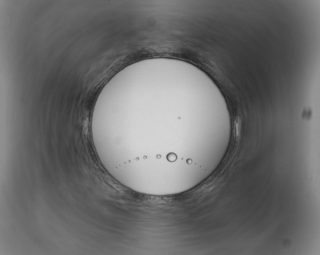 X0000112961251200908270911