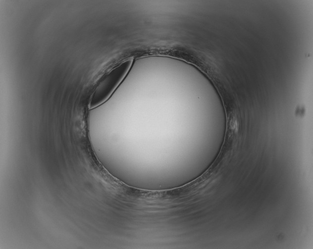 X0000112961252200908270911