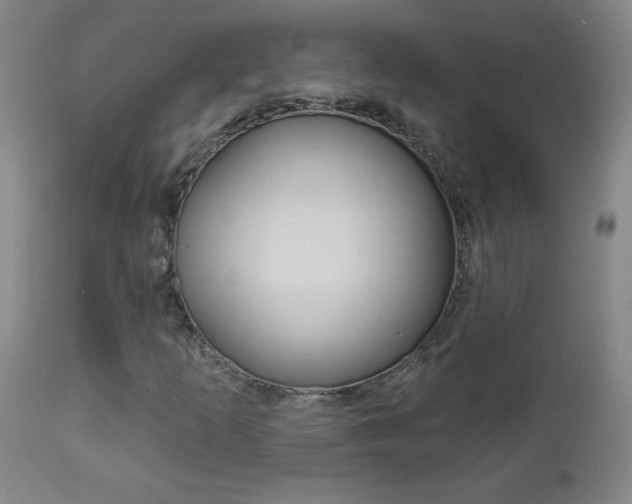 X0000112961253200908270911