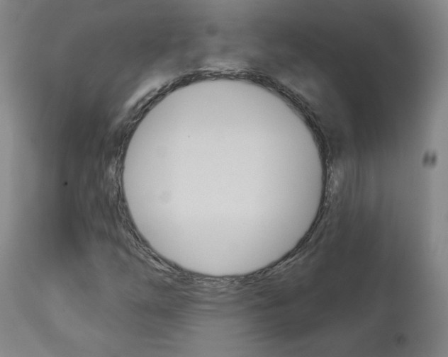 X0000112961254200908270911