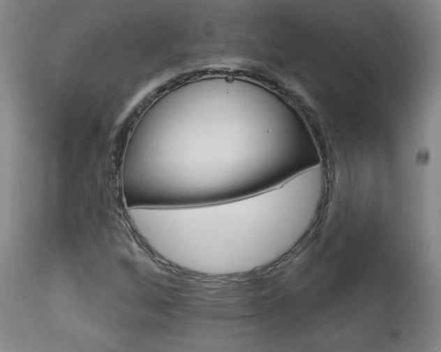 X0000112961256200908270911