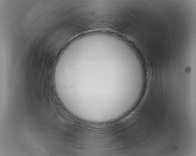 X0000112961257200908270911