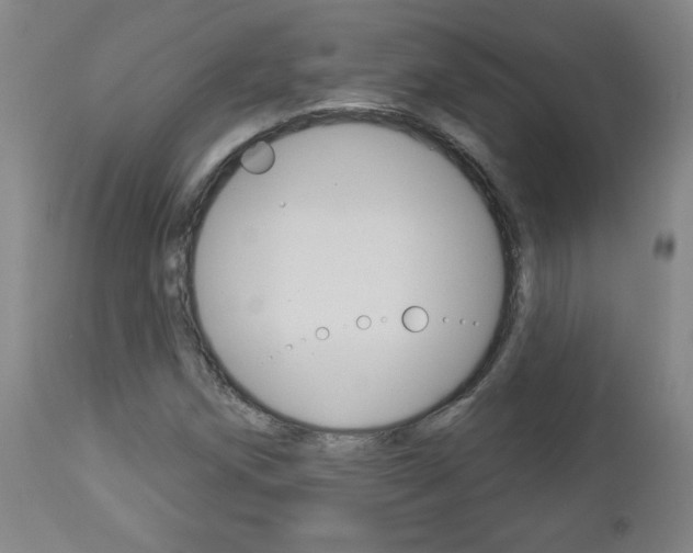 X0000112961258200908270911