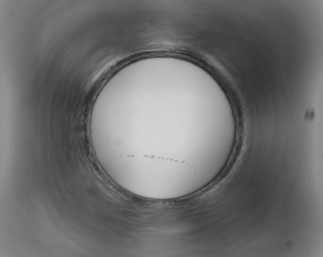 X0000112961259200908270911