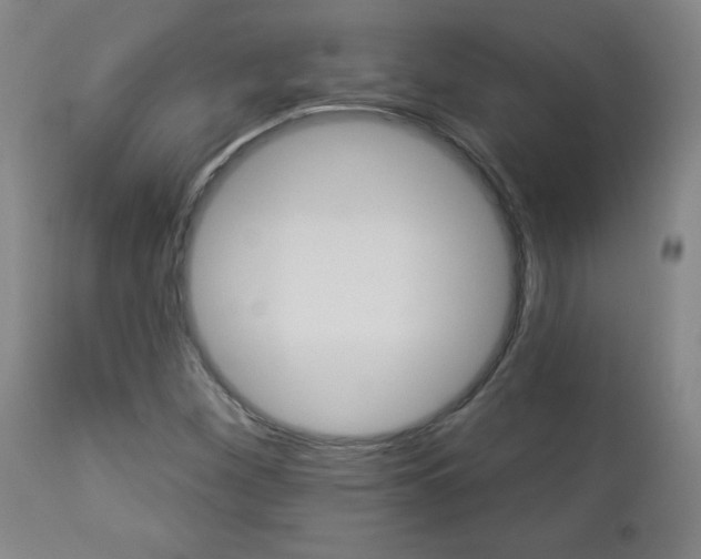 X0000112961260200908270911