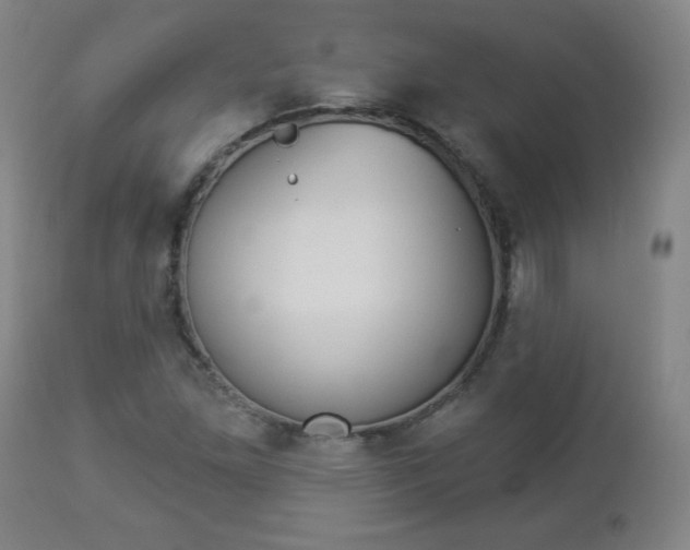X0000112961261200908270911