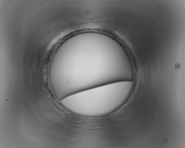 X0000112961262200908270911