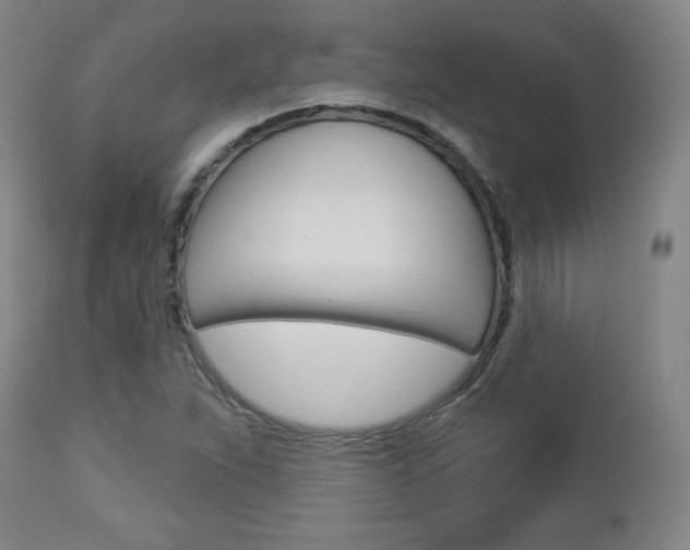 X0000112961263200908270911