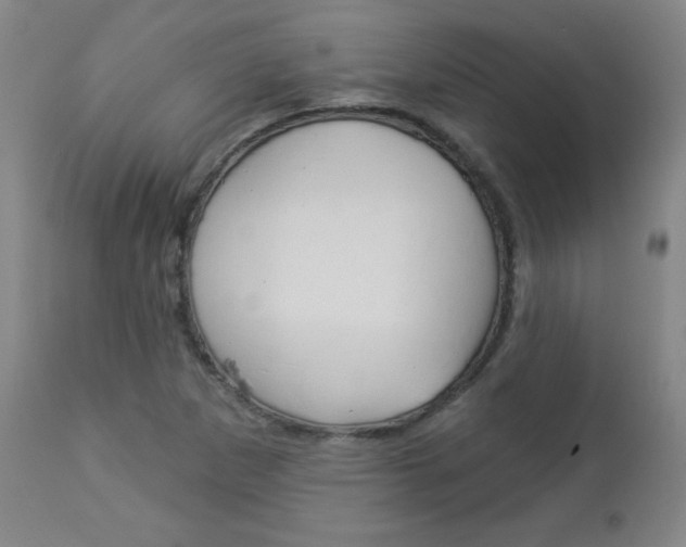 X0000112961265200908270911