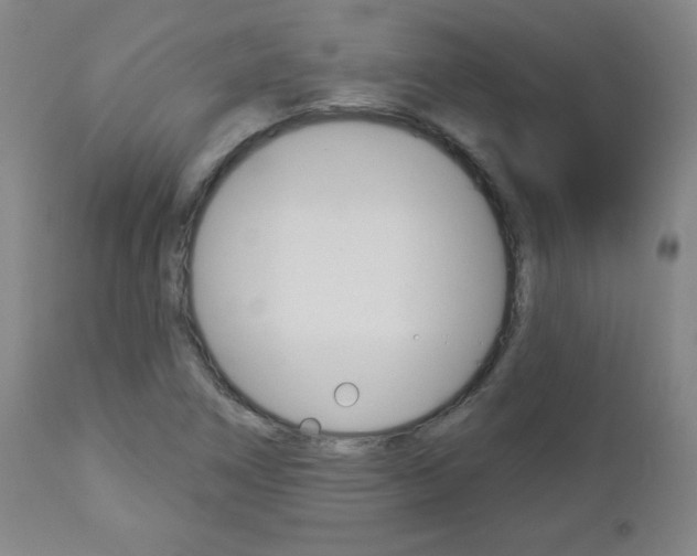 X0000112961266200908270911