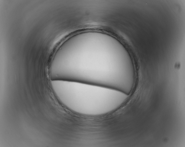 X0000112961267200908270911