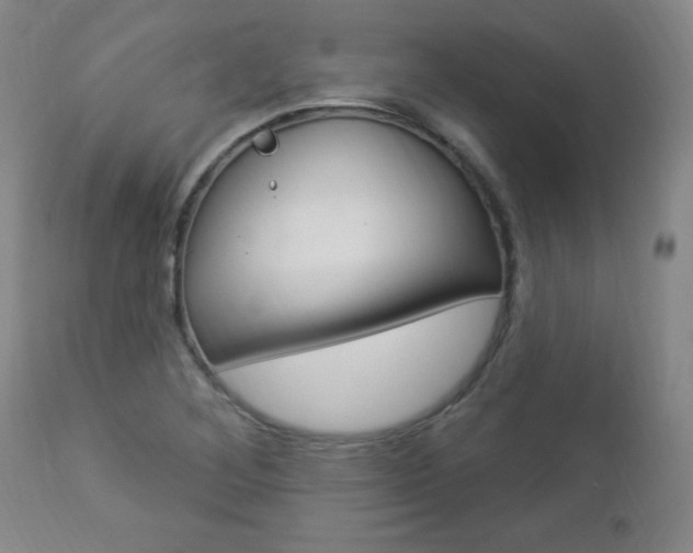 X0000112961268200908270911