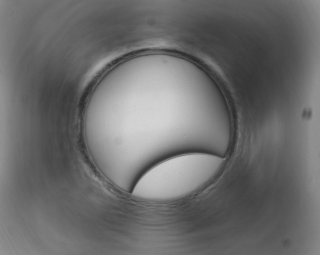 X0000112961270200908270911