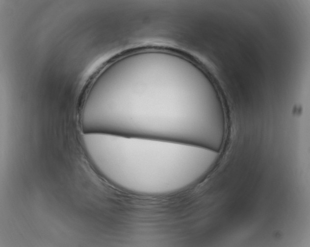 X0000112961271200908270911