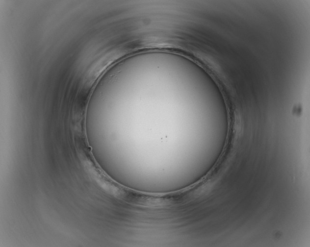 X0000112961273200908270911