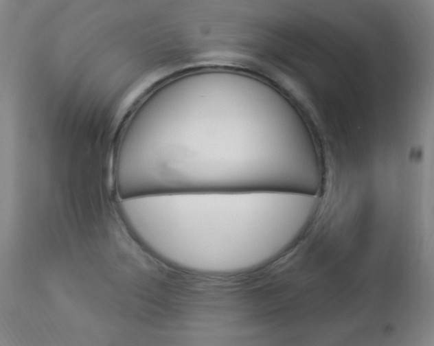 X0000112961275200908270911