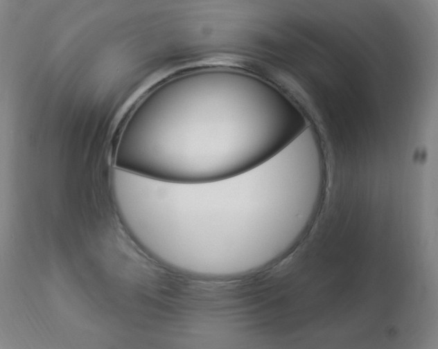 X0000112961276200908270911