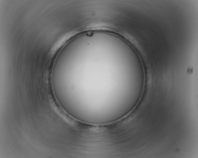X0000112961277200908270911