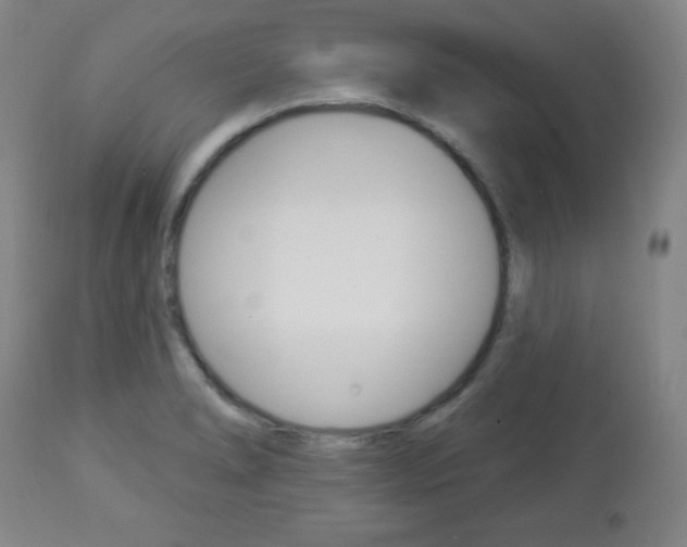 X0000112961278200908270911