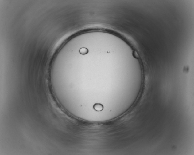 X0000112961279200908270910