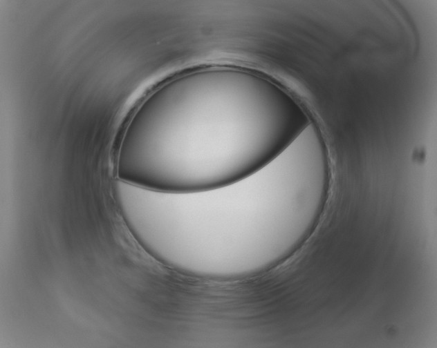 X0000112961280200908270910