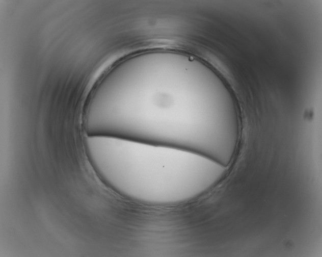 X0000112961283200908270910