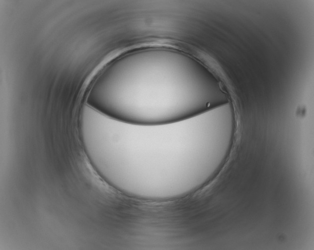 X0000112961284200908270910