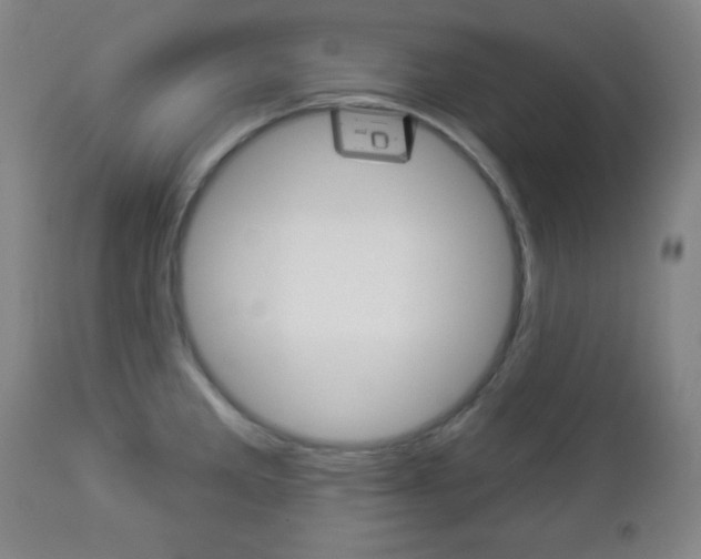 X0000112961285200908270910