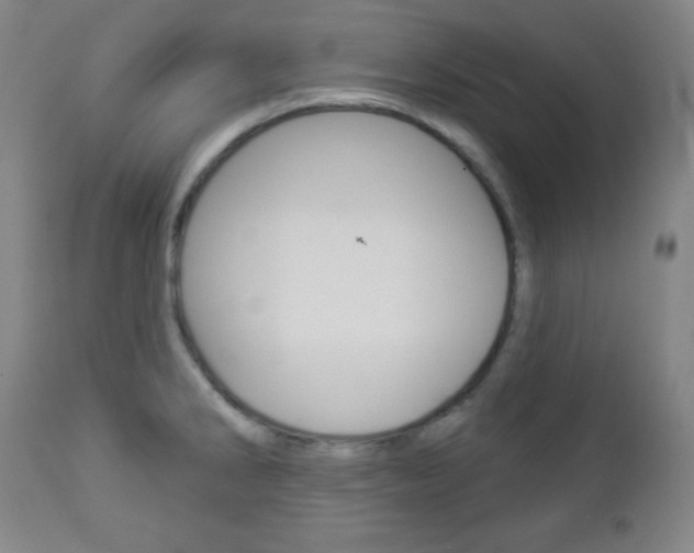 X0000112961286200908270910
