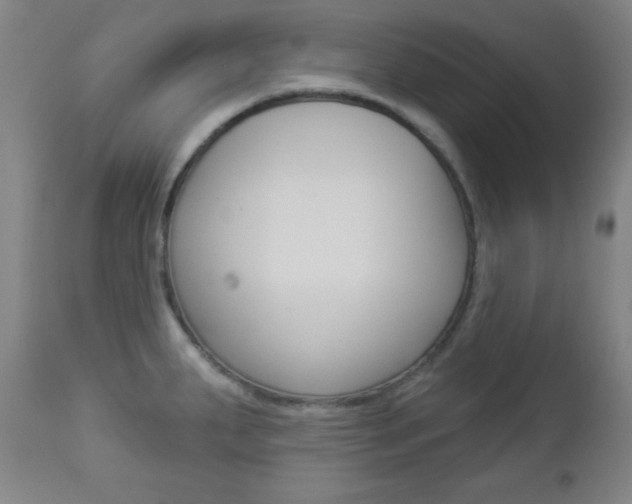 X0000112961287200908270910