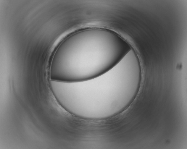 X0000112961288200908270910