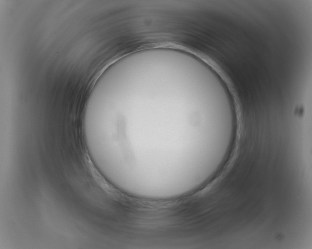 X0000112961289200908270910