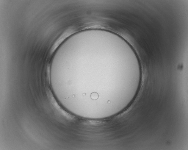 X0000112961290200908270910
