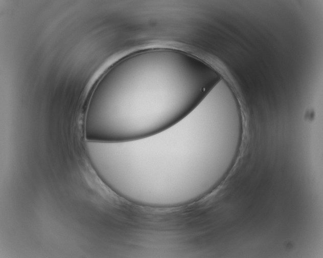 X0000112961292200908270910